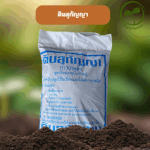 ดินสุกัญญา