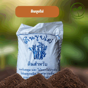 ดินขุยไผ่