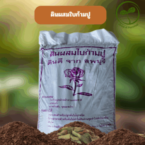 ดินผสมใบก้ามปู